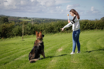 Teenage girl plays with her dog outside in a field. She gives him a hand command to sit