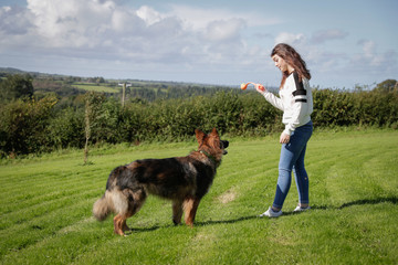 Teenage girl plays with her dog outside in a field