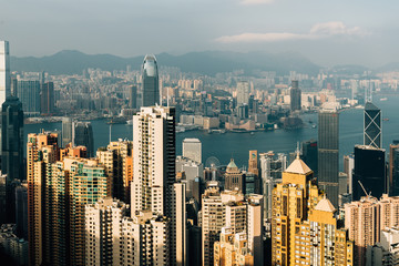 Obraz premium Hongkong cityscape from The peak 