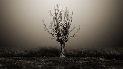 Spooky Tree Dark Night ./Halloween black and white background.