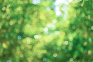 Natural texture beautiful summer color, natural background, natural greenery bokeh