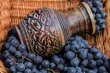 Old clay wine jug surrounded by black grape bunches with wicker basket as a background.