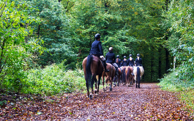 Reitergruppe auf Pferden im Wald