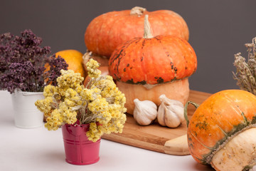 Pumpkin on the light wooden board, gray background