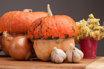 Pumpkins and vegetables on the light wooden board, gray background
