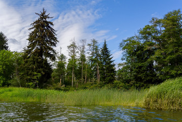 Chehalis River Surge