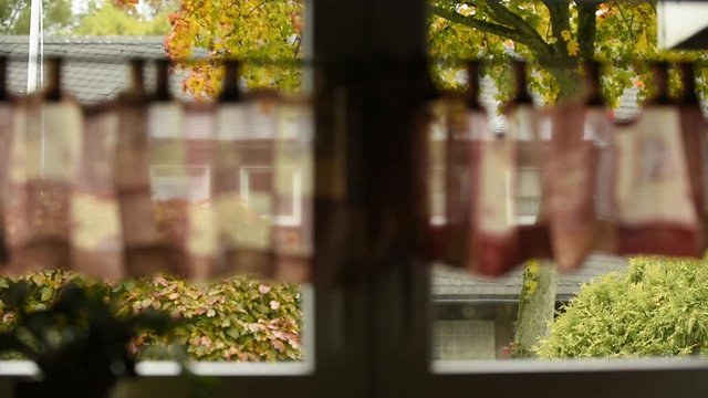 Herbstwetter durch ein Fenster