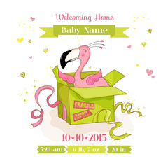 Baby Shower or Arrival Card - Baby Flamingo Girl in a Box - in vector