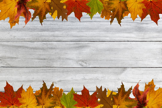 Colorful leaves on white planks. Raster illustration.