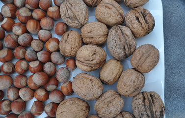 walnuts and hazelnuts autumn