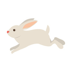Rabbit icon. Animal cartoon and easter theme. Isolated design. Vector illustration
