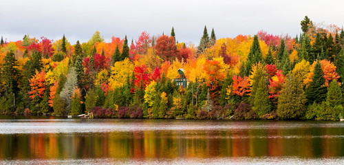 Autumn beginning to take affect on cottage country in the Quebec north. Trees turning blood red before the winter onslaught. - 124463516