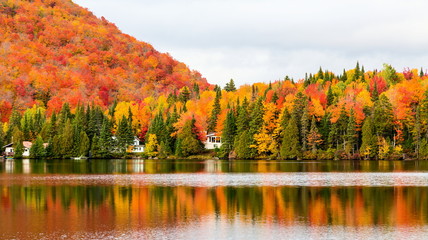 Autumn beginning to take affect on cottage country in the Quebec north. Trees turning blood red before the winter onslaught. - 124463532