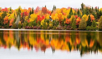 Autumn beginning to take affect on cottage country in the Quebec north. Trees turning blood red before the winter onslaught. - obrazy, fototapety, plakaty