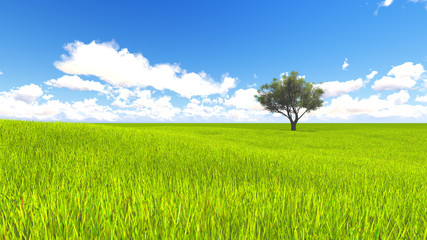 Fototapeta na wymiar Tree field of grass and perfect sky landscape 3D rendering