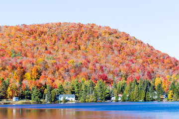 Obraz premium Autumn beginning to take affect on cottage country in the Quebec north. Trees turning blood red before the winter onslaught.