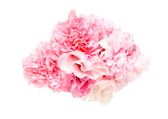 カーネーションとトルコキキョウ