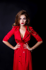 Fototapeta premium beautiful woman in a fashion style