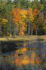 Fall foliage and reflections in Plymouth, New Hampshire.