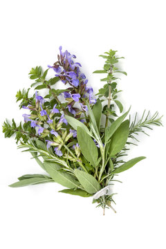 Bunch of Herbs Bouquet Garni Isolated on White