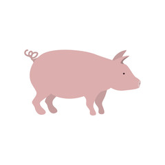 silhouette color with pink pig vector illustration