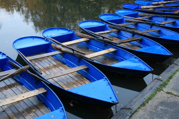 Ruderboot, Carolasee, Dresden