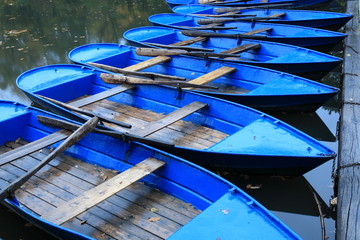Ruderboot, Carolasee, Dresden