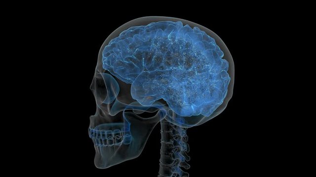 X-ray of a human skull with electrons moving around the brain.