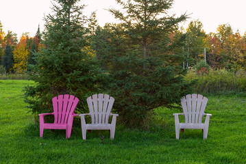 Three chairs on a lawn