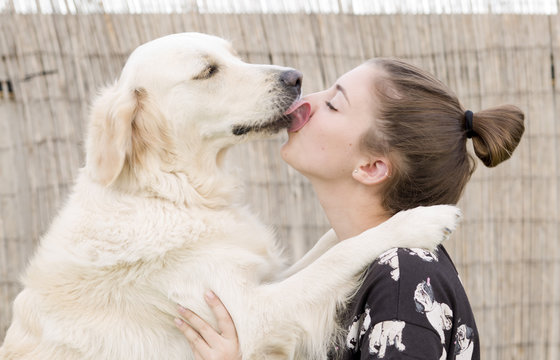 Dog breed Golden Retriever giving a hug to his owner. Take horizontal with natural light in exterior.