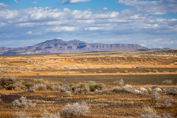 Karoo vista