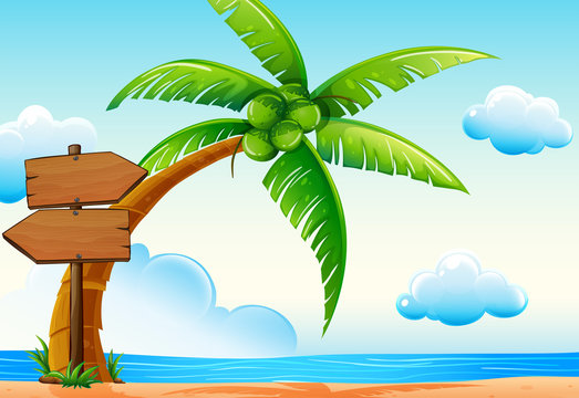 Scene with ocean and coconut tree