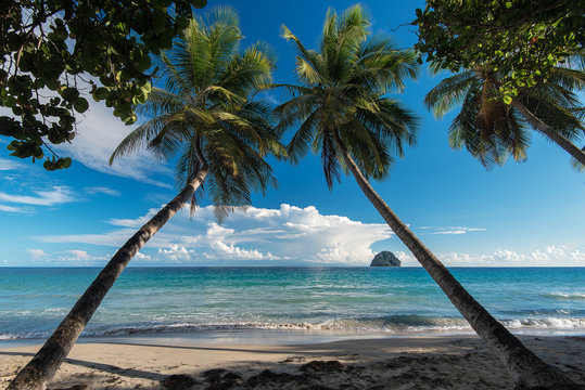 2 815 Best Plage Martinique Images Stock Photos Vectors Adobe Stock