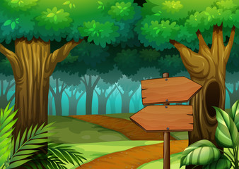 Forest scene with wooden signs