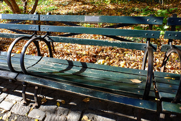 ニューヨーク　セントラルパークの秋