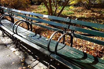 ニューヨーク　セントラルパークの秋