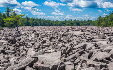 Boulder field in Hickory Run State Park © oldmn