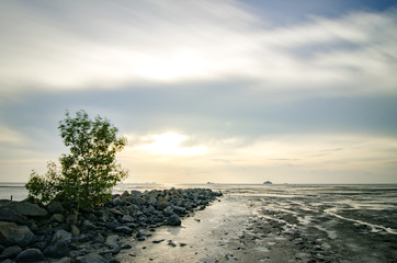 single tree surrounded by stone at coastline with colorful sunse