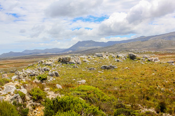 Landscape of Cape of Good Hope Natural Reserve in Cape Peninsula. The Cape of Good Hope is a section of Table Mountain National Park the top tourist destinations in South Africa.
