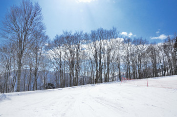 冬晴れのスキーゲレンデ