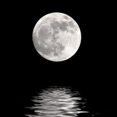 Fototapeta premium Full moon nigth