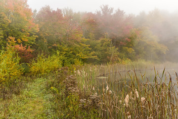 Foggy Morning on Snake Pond