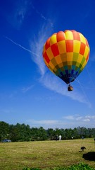 Obraz premium よく晴れた空と熱気球