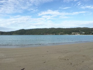 Fototapeta premium sea in thailand ,phi phi island