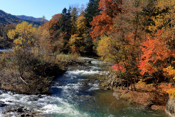 紅葉の三段滝公園