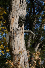 Homemade Halloween decoration of ghoulish tree with face and hands