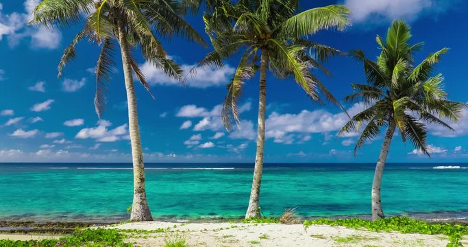 Tropical beach on Samoa Island with palm trees.