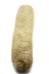 Dry Luffa, luffa sponge on the white background.