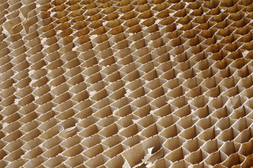 Honeycomb cardboard cells abstract