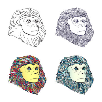 Drawing of set of  monkey head with pattern for coloring on whit